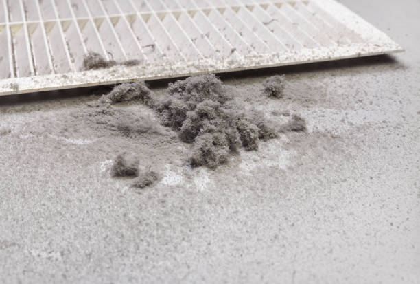 Best Air Duct Cleaning Near Me  in Converse, IN