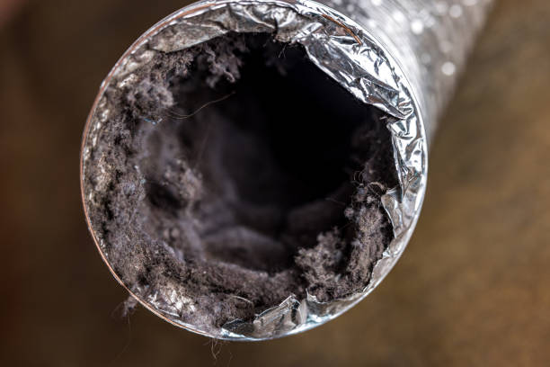 Best Emergency Air Duct Cleaning  in Converse, IN